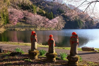 湖畔の桜を見守るお地蔵さん