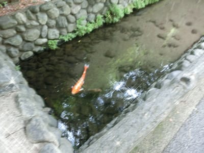 多摩川台公園、六郷用水