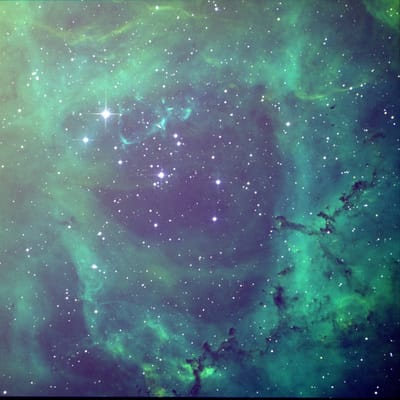 SH2-275 バラ星雲の中心部