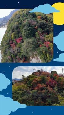 「対岸の紅葉」愛媛県側に進む    しまなみ海道ウォーキング③ー５ー   2022年11月７日