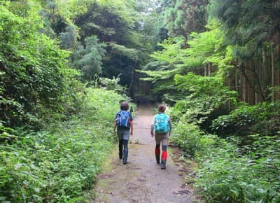 金剛山の夏　自然いっぱい丸滝谷
