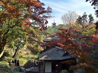 横浜市内の紅葉狩りスポット < 日本庭園「三溪園」>　3⃣