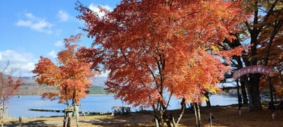 山中湖紅葉まつり
