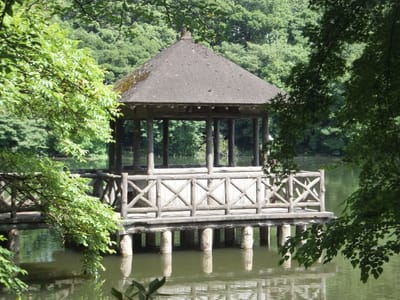 三宝寺池　浮御堂