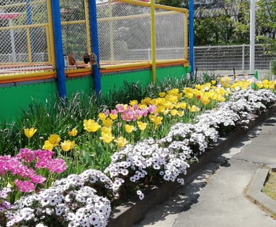 トランポリン近くの花壇　　　かしい花園シルバニアファミリー    風景お花編      2021年４月９日