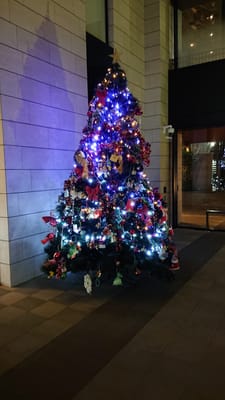 熊本市　綺麗なクリスマス