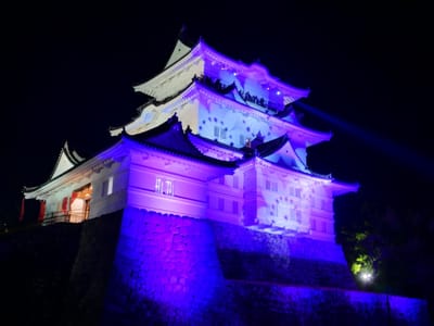 お気に入りの写真「小田原城冬桜イルミネーション～光と音が織りなすファンタジーショー～」