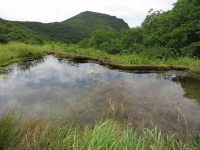 下山は二股から熊味峠方向へ　途中で寄り道　竜神の池　風吹大池に似た、神様の田んぼみたいな池です