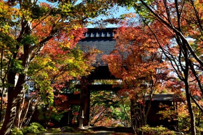 長野県飯山・称念寺の山門