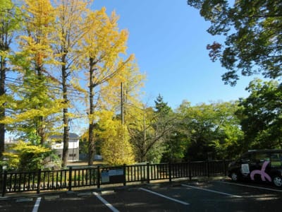 雀宮公園の紅葉と黄葉