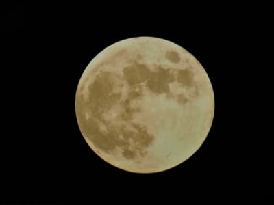 　　　　🌕　" 皆既月食 "を 観測　 ☽　　満月　　🌕