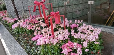 2022大阪駅南ゲートのお花たち