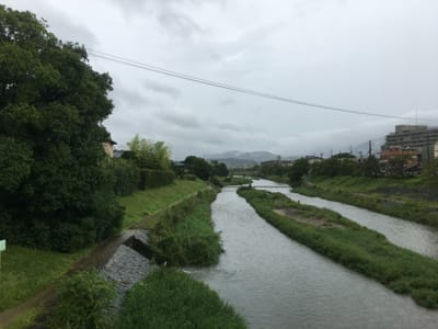雨に煙る高野川