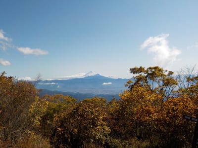 茅ヶ岳からの富士山
