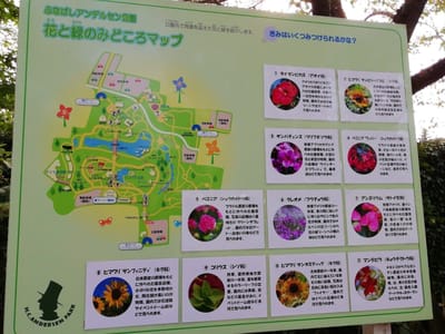 「花と緑の見どころマップ」　　　猛暑のアンデルセン公園(ふれあい広場の動物と押し花展他)     2021年８月２６日    