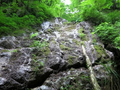 金剛山の夏　自然いっぱい丸滝谷
