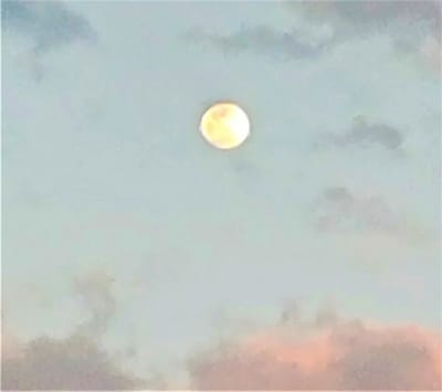 宵の空に 朧な月が　浮かびました　４月２５日