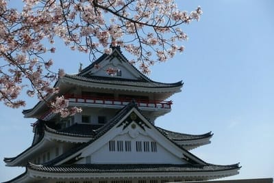 熱海城の桜まつり