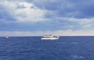 数隻ほぼ同時出港　　慶良間諸島沖　クジラウォッチング　　(７つの絶景を巡る沖縄本島３日間ツアー１日目)　2024年1月25日