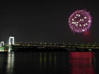 　　　　🎇　東京湾 大華火祭【2021年中止】　🎆