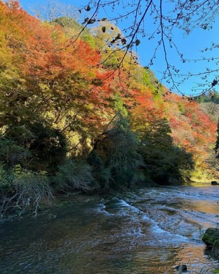 秋の千葉県養老渓谷