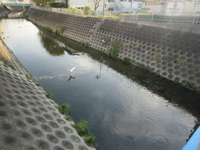 大阪平野川