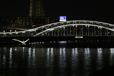 台東区白髭橋の明かり。