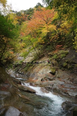 西沢渓谷の紅葉