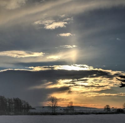 初冬の雪景色3　うっすら太陽柱