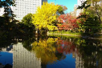 東京・日比谷公園・雲形池の紅葉