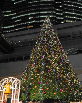 日テレ『世界の果てまでイッテQ！』13m巨大クリスマスツリー