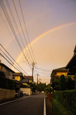 嵐の前の虹
