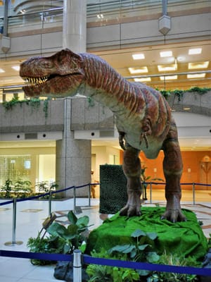 <恐竜>　"ティラノサウルス"　 (Tyrannosaurus）<完>