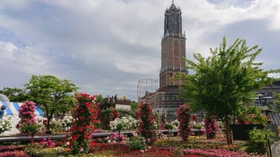 ハウステンボスの薔薇🌹祭～タワーシティを絡めて４