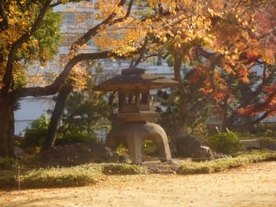 上野公園＋　旧岩崎邸庭園