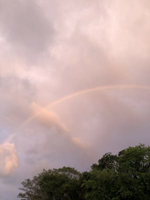 沖縄の虹🌈