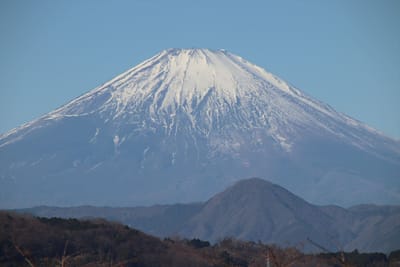 吾妻山公園4～富士山