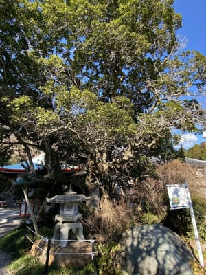 本邦最大級の水琴洞が裏庭にある善住禅寺