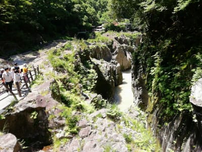 「鬼八の力石」　続高千穂遊歩道   (南九州花と６つの絶景探訪ツアー)      2023年６月３日