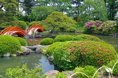 山神社の庭園