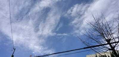 1月の大阪の空