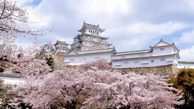 姫路城と桜０１　2022/04/08㈯晴
