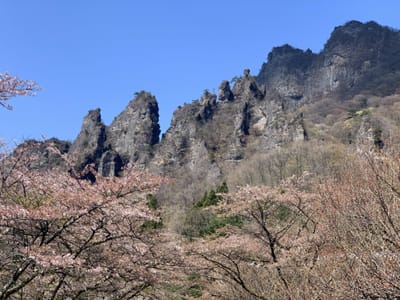 桜の妙義山