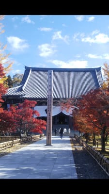 京都七条、智積院の紅葉と東山ガーデン