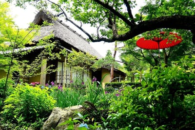茶屋と花菖蒲～一条恵観山荘
