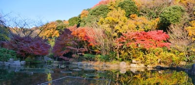 金沢自然公園の紅葉