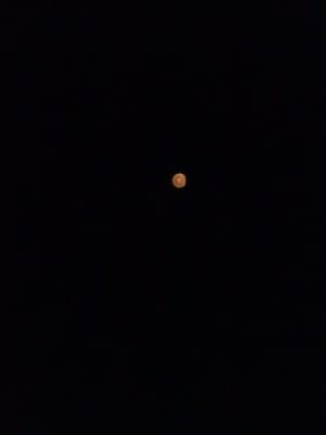 大接近した火星、蓼科高原にて撮影しました