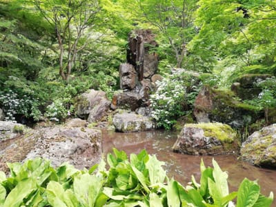 「滝と庭」青龍山 吉祥寺   (群馬サクランボ狩り日帰りツアー)    2023年６月29日