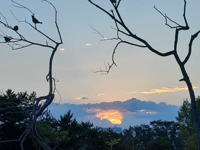 日の出の風景　神戸市