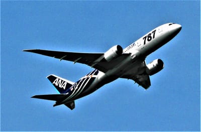 <蔵出し> ✈ ボーイング 787-8型機の初号機「JA801A」✈